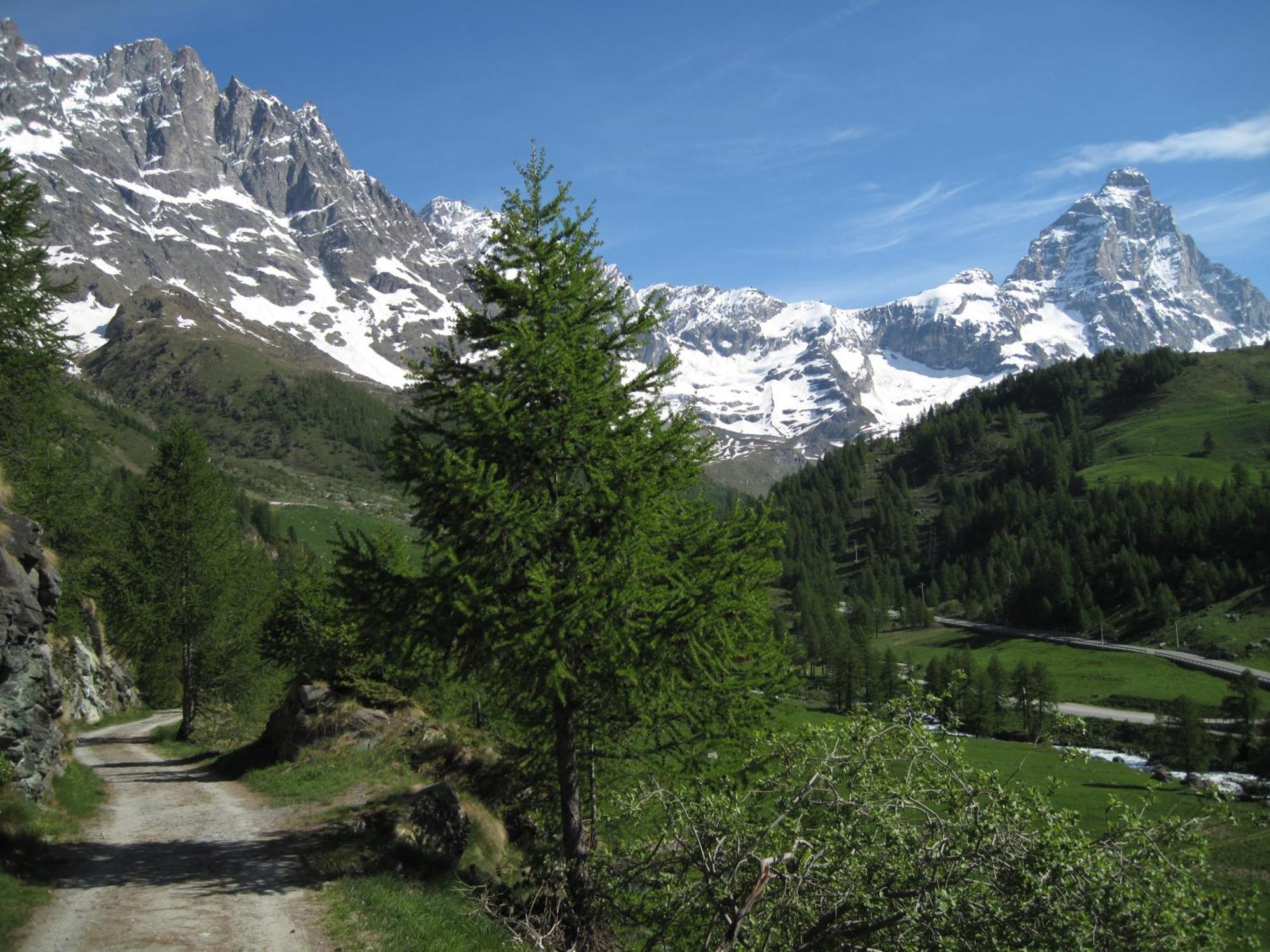 Hotel Meuble Meridiana วัลตูร์นอนช์ ภายนอก รูปภาพ